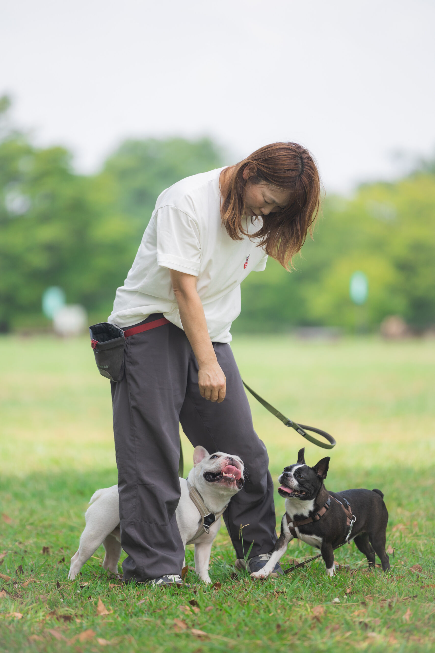 トレーナープロフィール